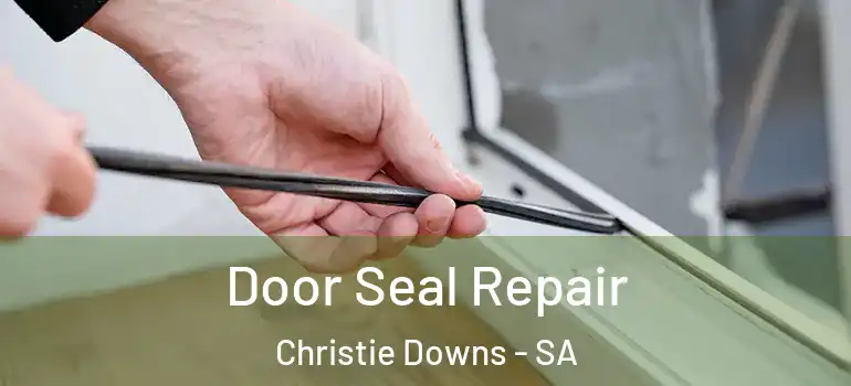 Door Seal Repair Christie Downs - SA