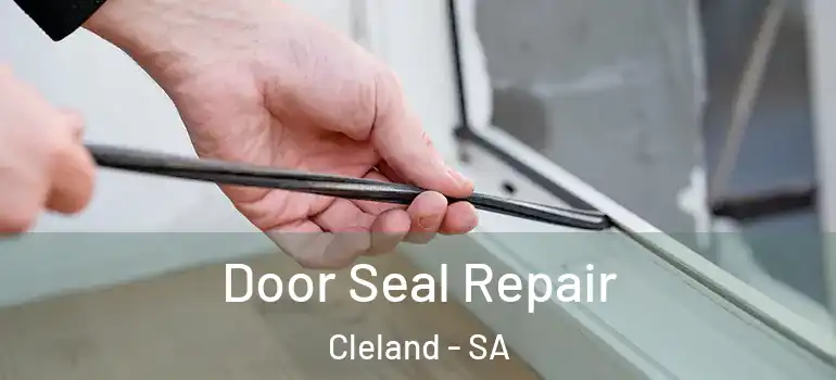 Door Seal Repair Cleland - SA