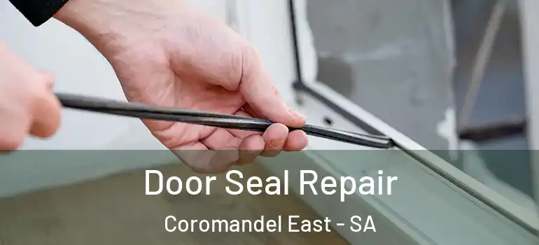 Door Seal Repair Coromandel East - SA