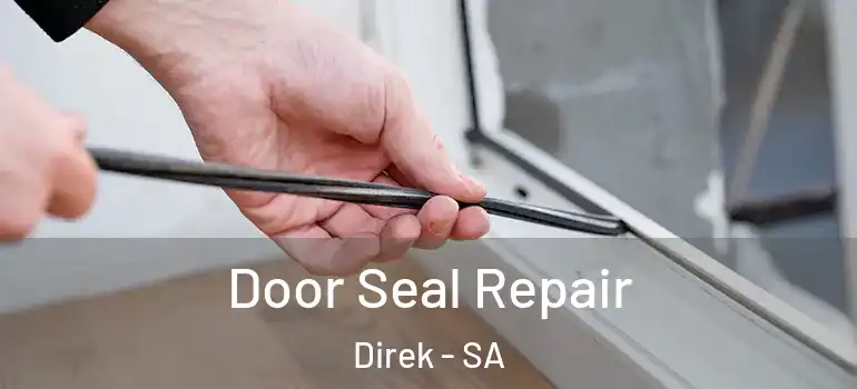 Door Seal Repair Direk - SA