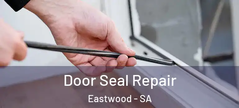 Door Seal Repair Eastwood - SA