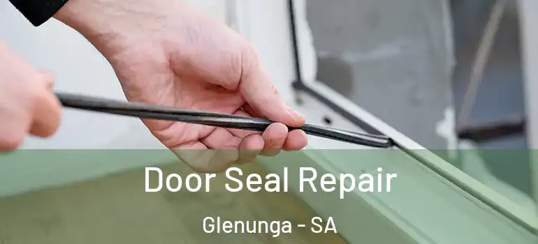 Door Seal Repair Glenunga - SA