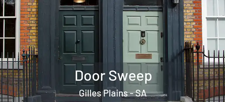 Door Sweep Gilles Plains - SA