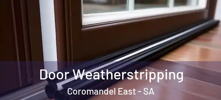 Door Weatherstripping Coromandel East - SA