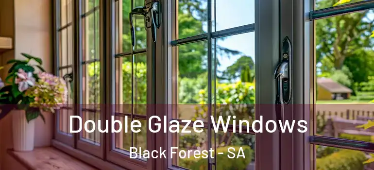 Double Glaze Windows Black Forest - SA
