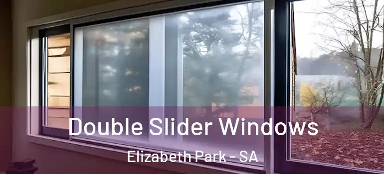 Double Slider Windows Elizabeth Park - SA