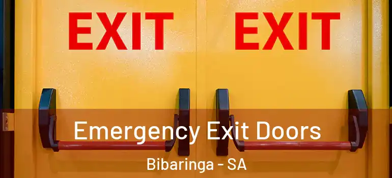 Emergency Exit Doors Bibaringa - SA