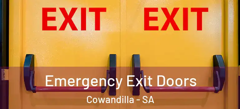 Emergency Exit Doors Cowandilla - SA