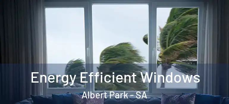Energy Efficient Windows Albert Park - SA