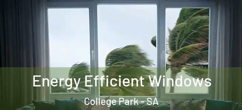  Energy Efficient Windows College Park - SA