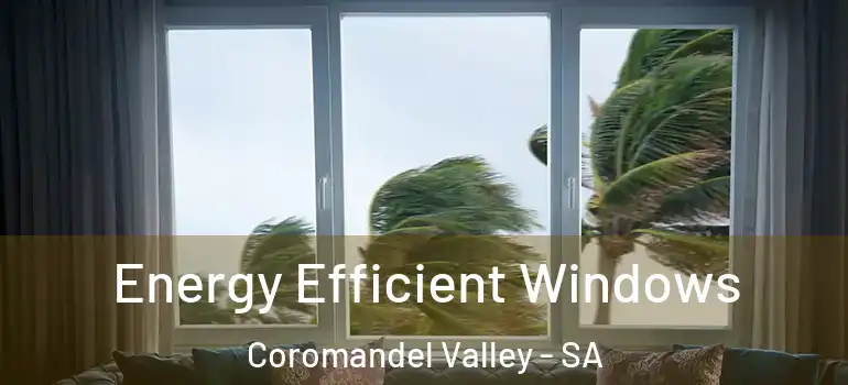 Energy Efficient Windows Coromandel Valley - SA
