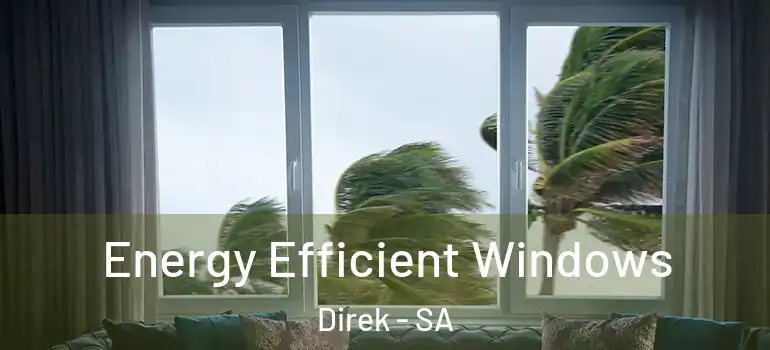 Energy Efficient Windows Direk - SA