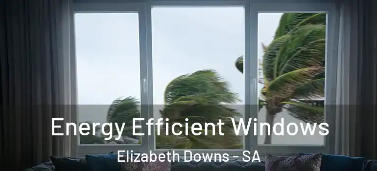 Energy Efficient Windows Elizabeth Downs - SA