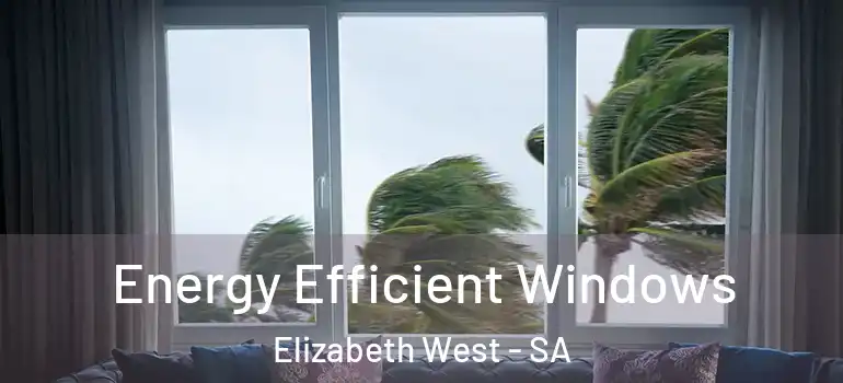 Energy Efficient Windows Elizabeth West - SA