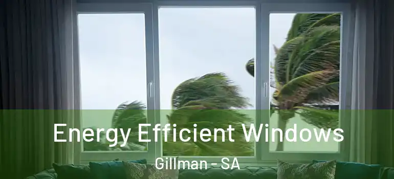 Energy Efficient Windows Gillman - SA