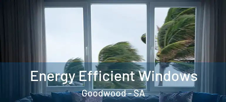  Energy Efficient Windows Goodwood - SA