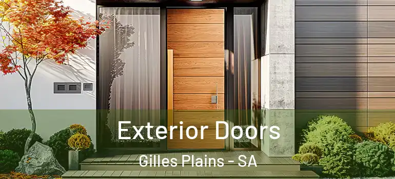 Exterior Doors Gilles Plains - SA