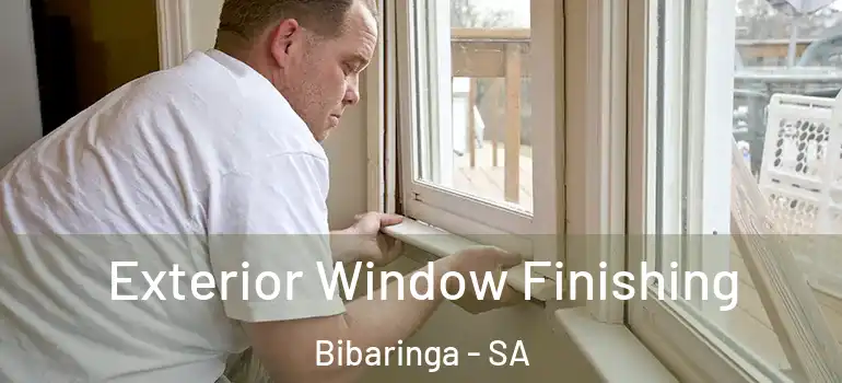 Exterior Window Finishing Bibaringa - SA