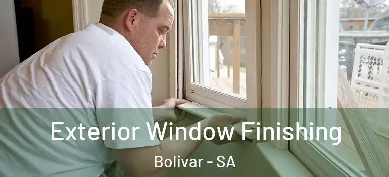 Exterior Window Finishing Bolivar - SA