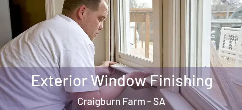 Exterior Window Finishing Craigburn Farm - SA