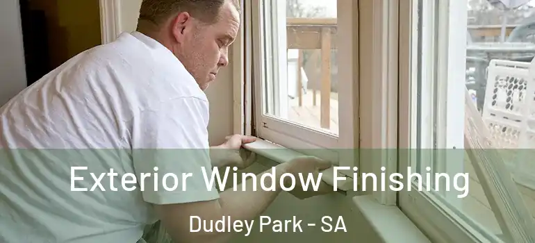Exterior Window Finishing Dudley Park - SA