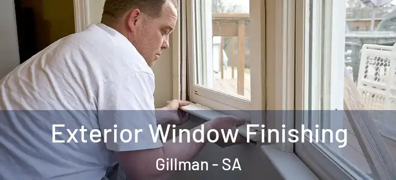 Exterior Window Finishing Gillman - SA