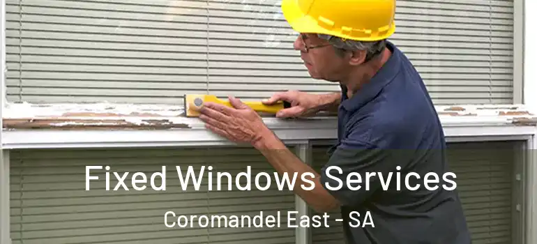 Fixed Windows Services Coromandel East - SA