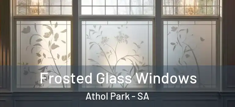 Frosted Glass Windows Athol Park - SA
