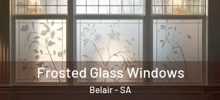 Frosted Glass Windows Belair - SA