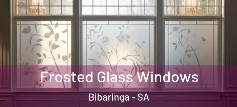 Frosted Glass Windows Bibaringa - SA