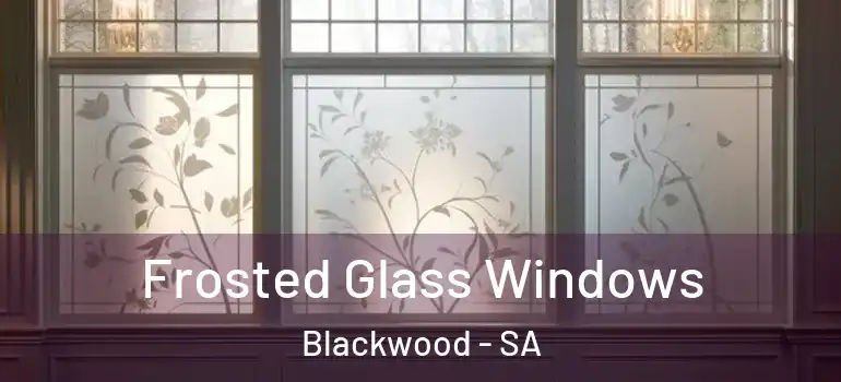 Frosted Glass Windows Blackwood - SA
