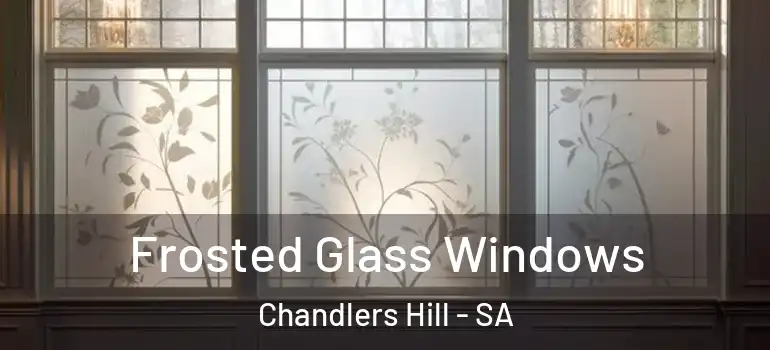Frosted Glass Windows Chandlers Hill - SA