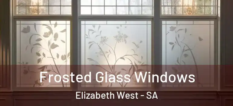 Frosted Glass Windows Elizabeth West - SA