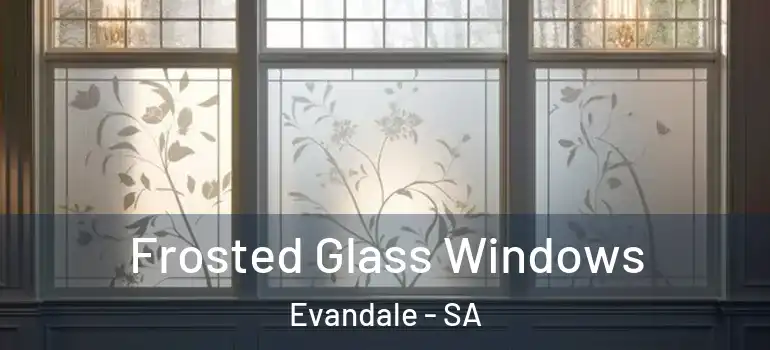 Frosted Glass Windows Evandale - SA