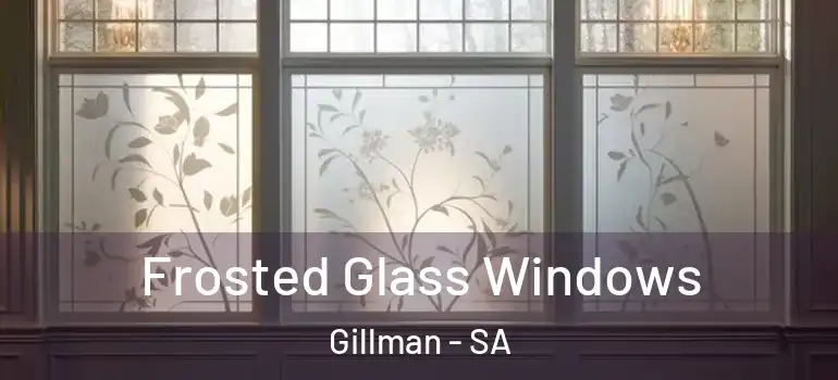 Frosted Glass Windows Gillman - SA