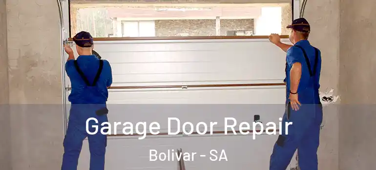 Garage Door Repair Bolivar - SA