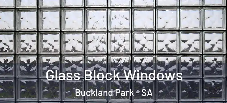 Glass Block Windows Buckland Park - SA