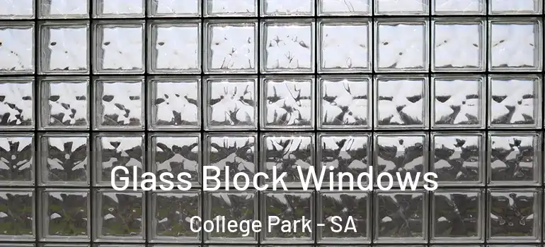 Glass Block Windows College Park - SA