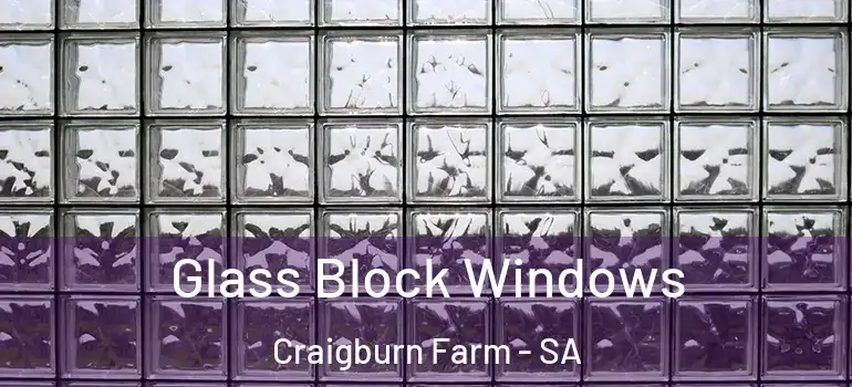 Glass Block Windows Craigburn Farm - SA