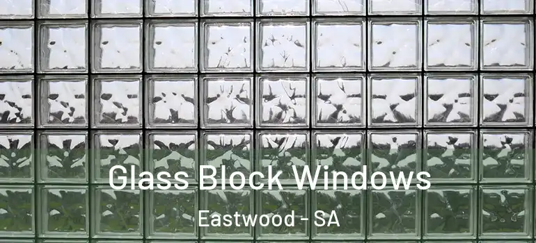  Glass Block Windows Eastwood - SA