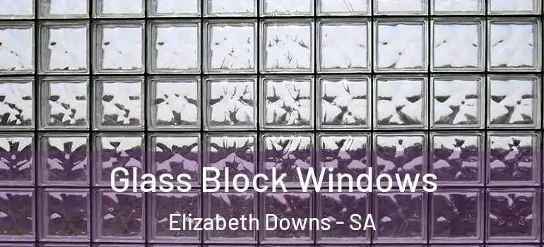 Glass Block Windows Elizabeth Downs - SA