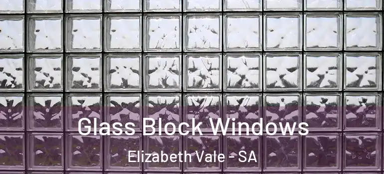 Glass Block Windows Elizabeth Vale - SA
