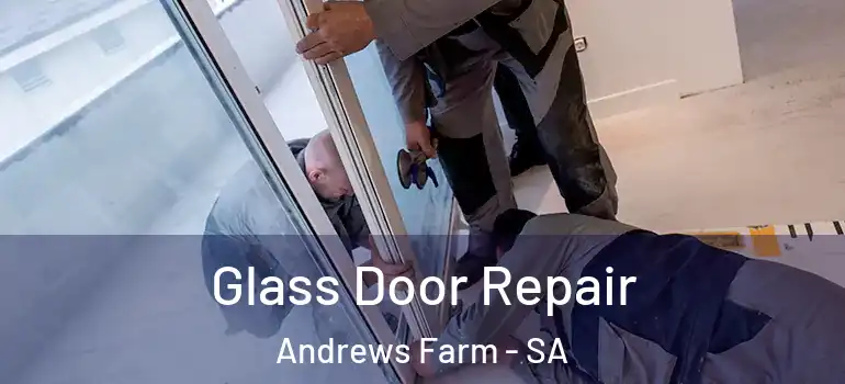 Glass Door Repair Andrews Farm - SA