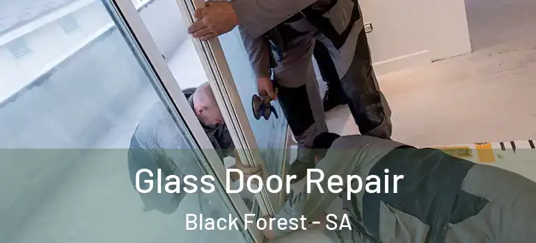 Glass Door Repair Black Forest - SA