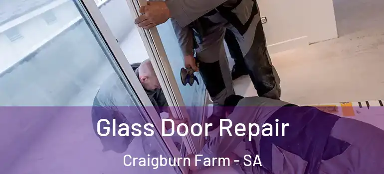 Glass Door Repair Craigburn Farm - SA