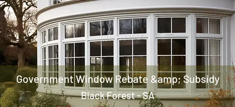 Government Window Rebate & Subsidy Black Forest - SA