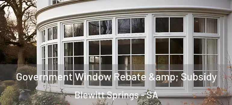 Government Window Rebate & Subsidy Blewitt Springs - SA