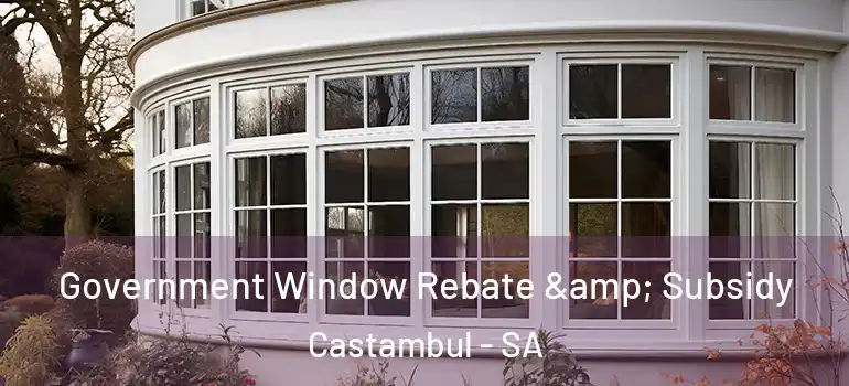 Government Window Rebate & Subsidy Castambul - SA