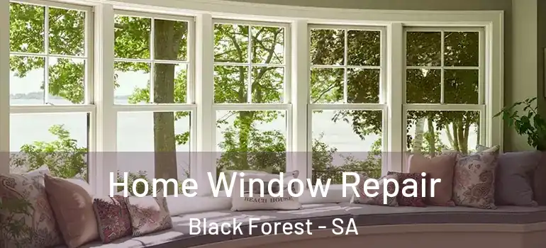 Home Window Repair Black Forest - SA