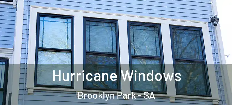 Hurricane Windows Brooklyn Park - SA